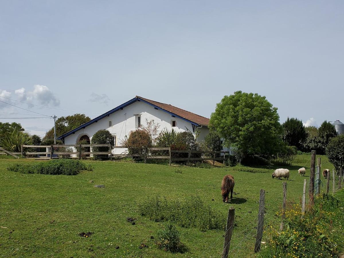 Family Home With Pool Saint-Lon-Les-Mines Exteriér fotografie